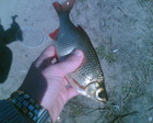 Photo000000001