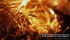 kartinki_34_96