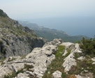IMG_15781
