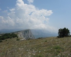 IMG_15481