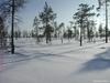 зима