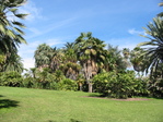 Pasadena