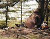 Некрыч в отпуске