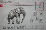 belka