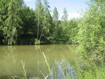 IMG_0211