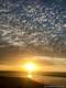 FB_IMG_1543409383155