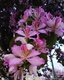 IMG_20190417_172300
