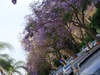 IMG_20190524_175859