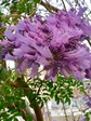 IMG_20190524_180013