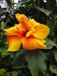 IMG_20190416_191334