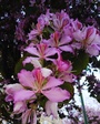 IMG_20190417_172300