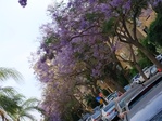IMG_20190524_175859