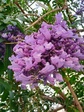 IMG_20190524_175932