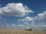NWP_130426_0006