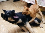 Оh my god! leave me alone !