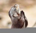praying