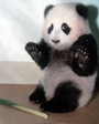 it wasnt me !