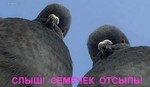 Наезд?