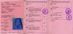Сколько можно таких перевезти через границу?