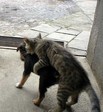 Се ля ви! )