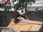 =)