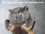 A8deoEdH6pIh7UBONhdLgmaWfL9I3vhjquy4RXjD4SA