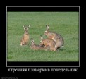 62635_255559
