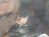 DSC01807