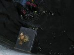 Расхитители сокровищ Фонтанки