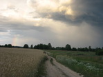Гроза