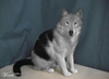6859