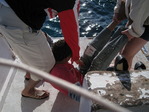 IMG_0564