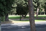 IMG_2670