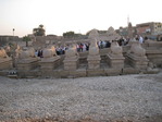 IMG_0318