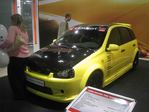 IMG_1950.jpg