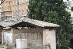 IMG_2787