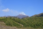 IMG_3959