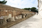 IMG_2655
