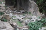 IMG_2770