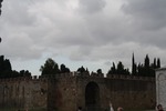 IMG_3114