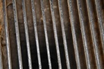 IMG_2808