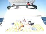 IMG_0534
