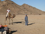IMG_0605