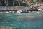 IMG_3910