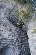 IMG_4102