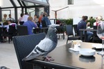 IMG_2428