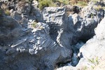 IMG_4126