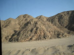 IMG_0203