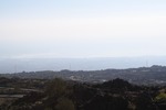 IMG_3963