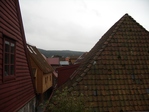 Bergen, Roofs